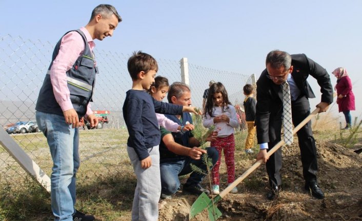 Tosya'da öğrenciler fidan dikti
