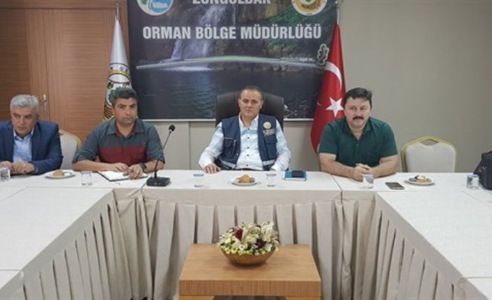 Zonguldak'ta defne yaprağı üretiminin arttırılması hedefi