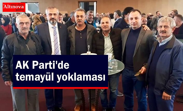 AK Parti'de temayül yoklaması