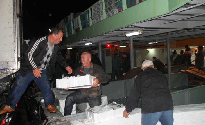 Akçakoca kıyılarında hamsi bereketi