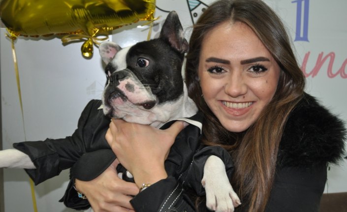 Farkındalık için köpeğine 