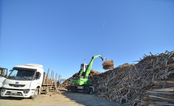 Fındık kabuğu ve mısır sapından elektrik üretiyorlar