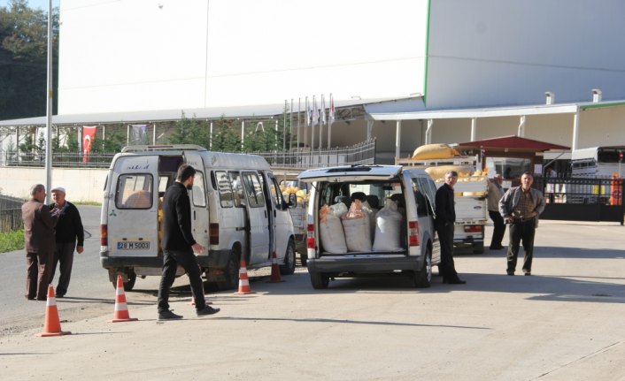 Giresun'da TMO fındık alımına başladı