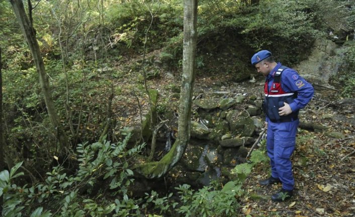 Kastamonu'da kaybolan alzaymır hastasına ulaşılamadı