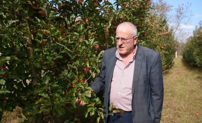 Maden emeklisine 55 ton elma 