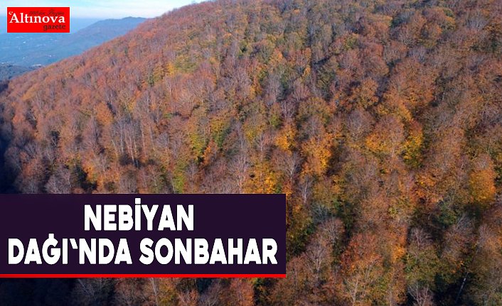 Nebiyan Dağı'nda sonbahar