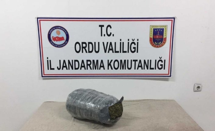 Ordu'da yolcu otobüsünde uyuşturucu ele geçirildi