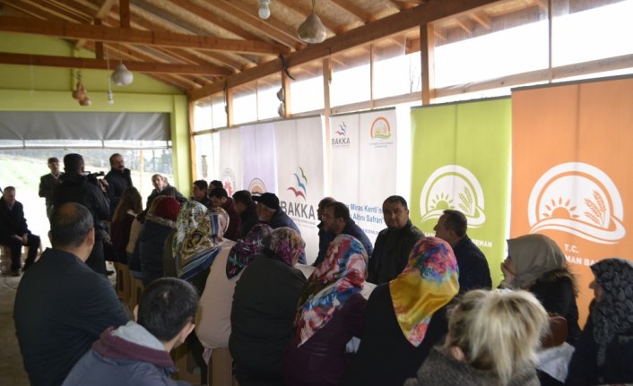 Safran üreticilerine eğitim