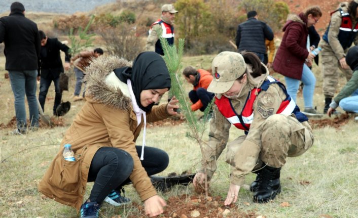 Sevgi Evlerinde kalan çocuklar fidan dikti