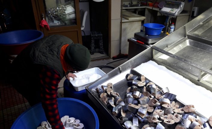 Sezonun son palamutları yazın tüketilmek için tuzlanıyor