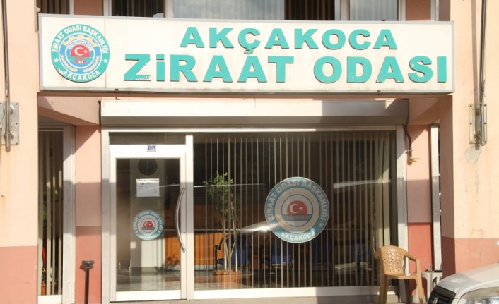 TMO'nun fındık alımı üreticiyi ümitlendirdi