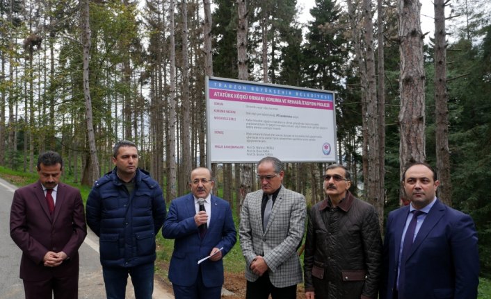 Atatürk Köşkü Ormanı'nda 1 milyondan fazla zararlı böcek tespit edildi