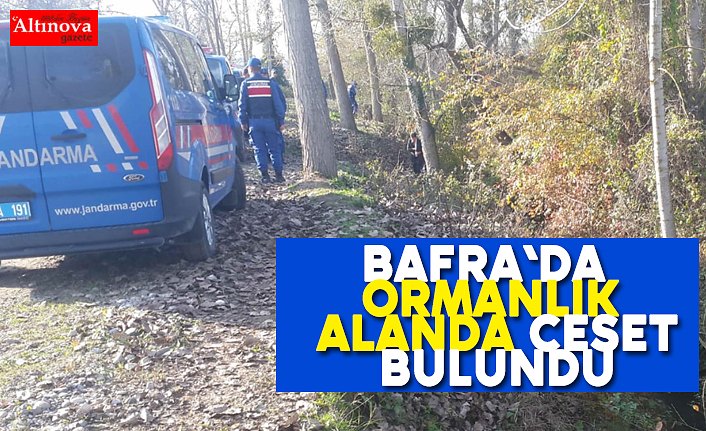 Bafra`da ormanlık alanda ceset bulundu