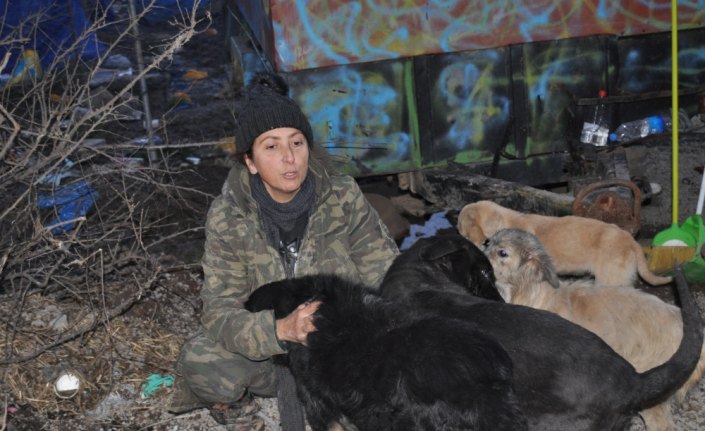 Bartın'da hayvansever kadının açlık grevi