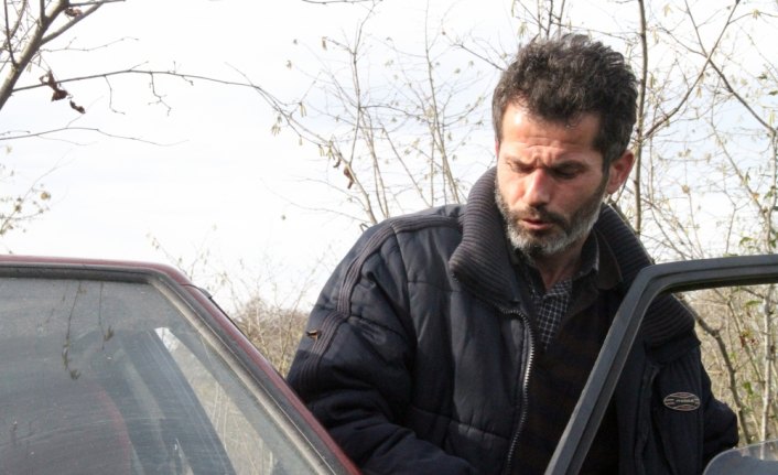 Direksiyonda uyuyunca fındık bahçesine girdi