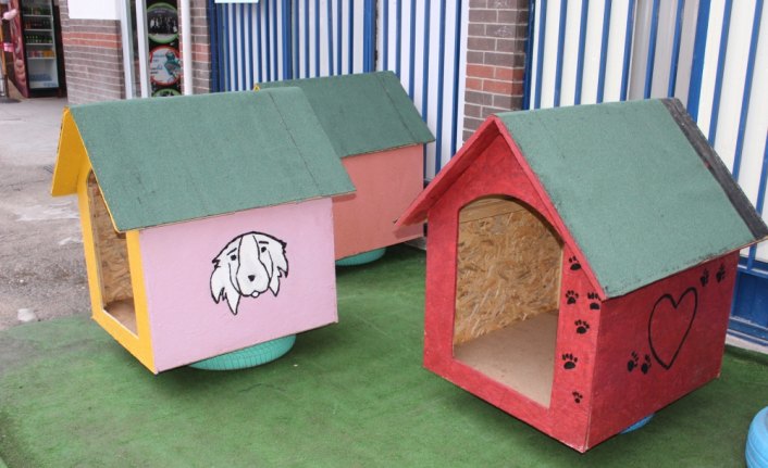 Erbaa'da öğrenciler sokak hayvanları için kolları sıvadı