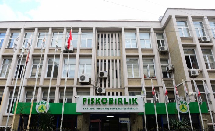 Fındık kaçıran hamaliye ekibine operasyon