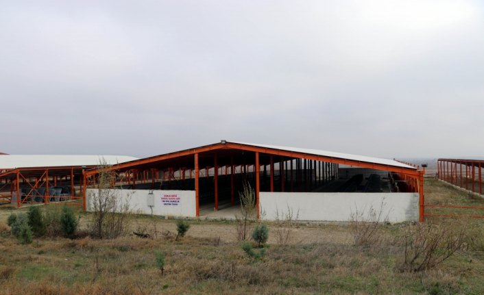 Hesapları bloke edilen köylüler yardım bekliyor