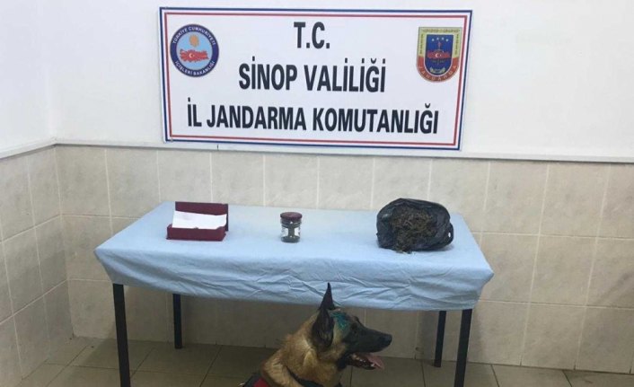 Jandarmadan uyuşturucu operasyonu