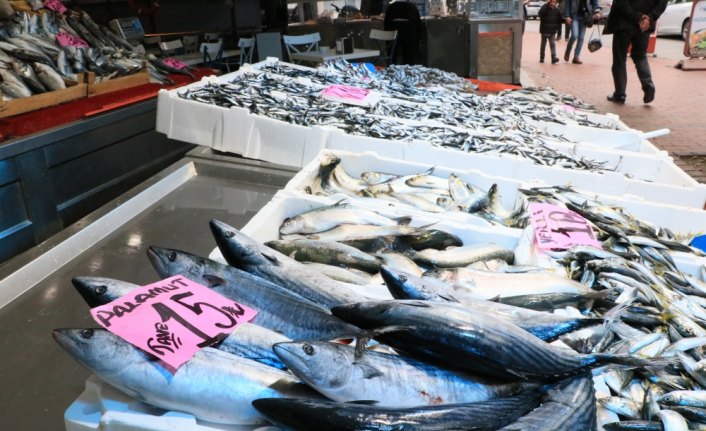 Karadeniz'deki bolluk balıkçıları memnun etti