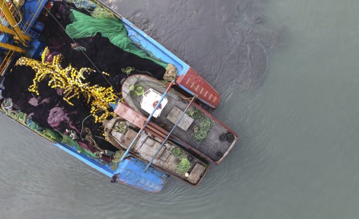 Kastamonu'da hamsi bereketi