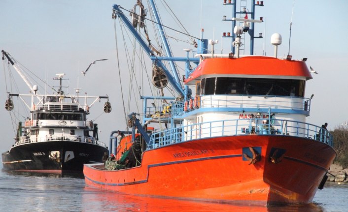 Limana yaklaşık 50 ton hamsiyle döndüler