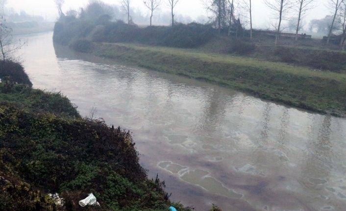 Melen Çayı'na flor döküldüğü iddiası