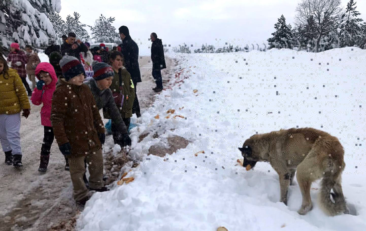 Minik öğrencilerden sokak hayvanları için kermes