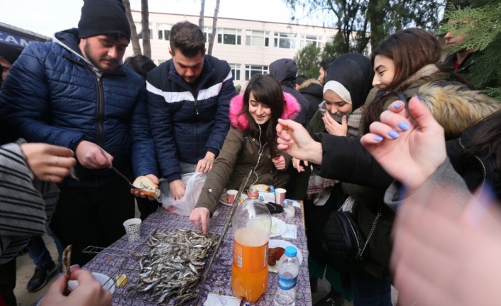 Öğrenciler 200 kilo hamsi yedi