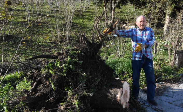 Ordu ve Giresun'da şiddetli rüzgar
