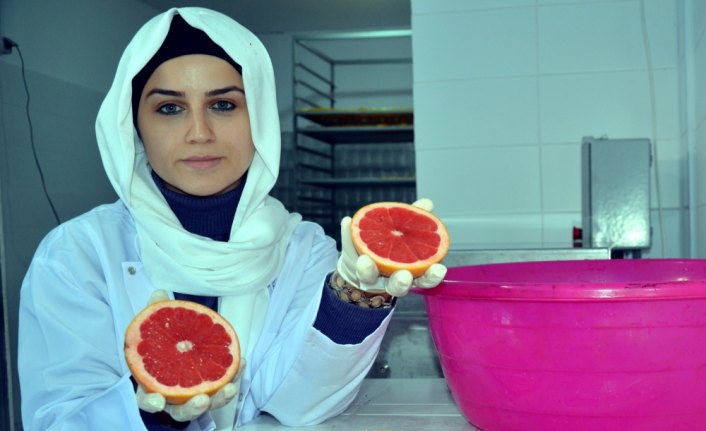 Sağlıklı gıda için yola çıkıp meyve cipsi üretim tesisi kurdu