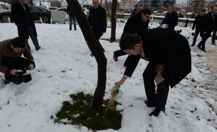 Tokat Belediye Başkanı Eroğlu, parklara yem bıraktı