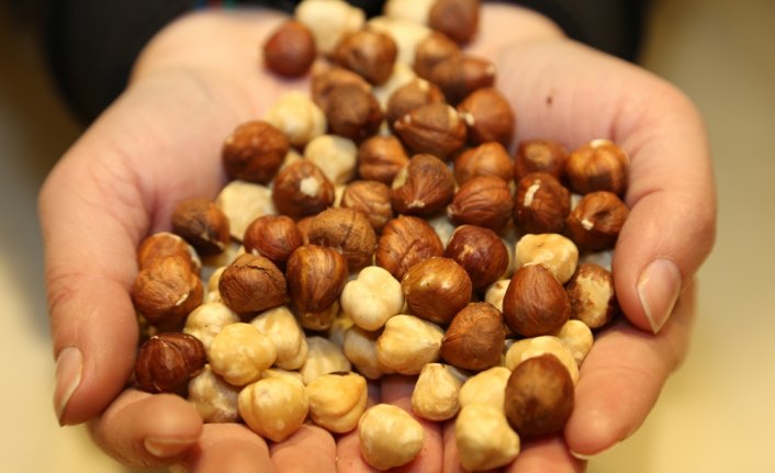 Türkiye 3 ayda 90 bin ton fındık ihraç etti