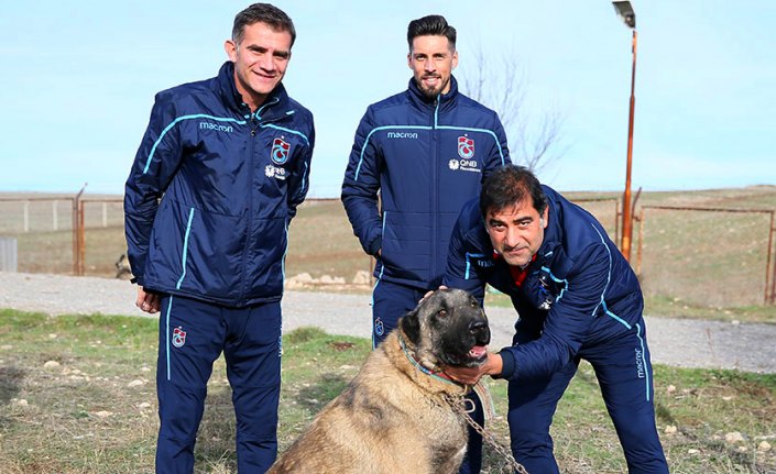 Ünal Karaman ile Sosa'dan kangal köpeği çiftliğine ziyaret