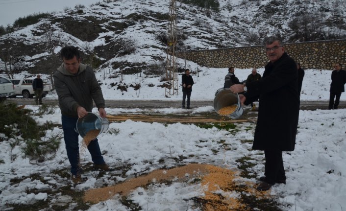 Yaban hayvanları için yemleme çalışması