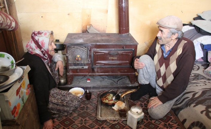 Yaşlı kardeşler barakada yaşam mücadelesi veriyor