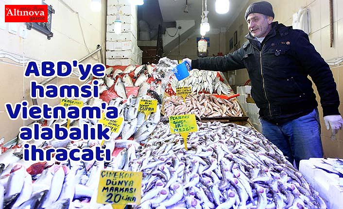 ABD'ye hamsi Vietnam'a alabalık ihracatı