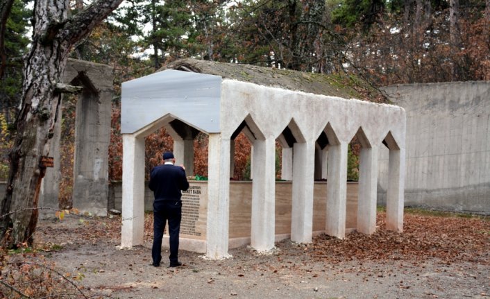 Bu çamlıktan asırlardır tek dal bile koparılmıyor