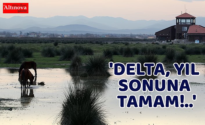 'DELTA, YIL SONUNA TAMAM!..'