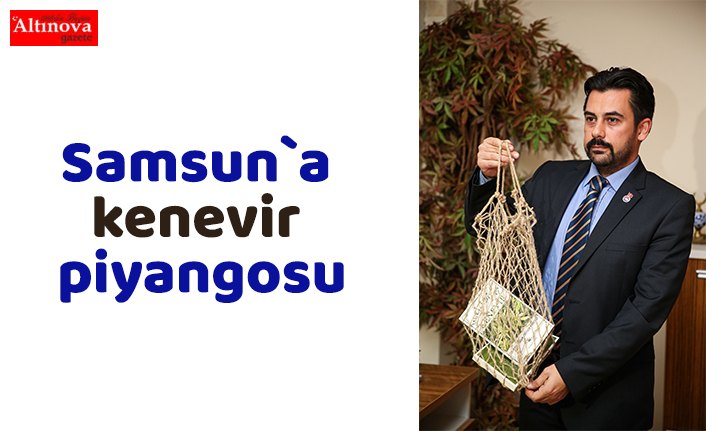 "Denetimli kenevir üretimi 100 milyar dolar getirebilir"