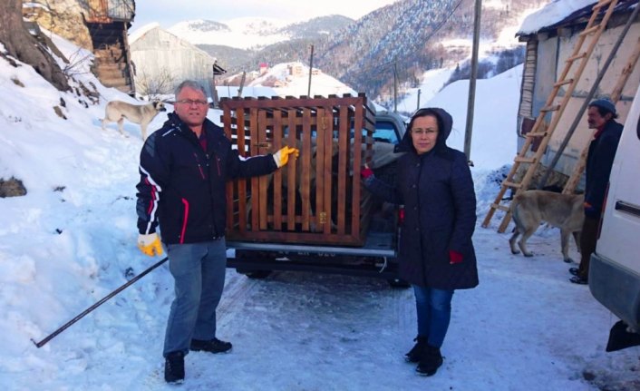 Donmak üzere olan köpek ve yavruları kurtarıldı