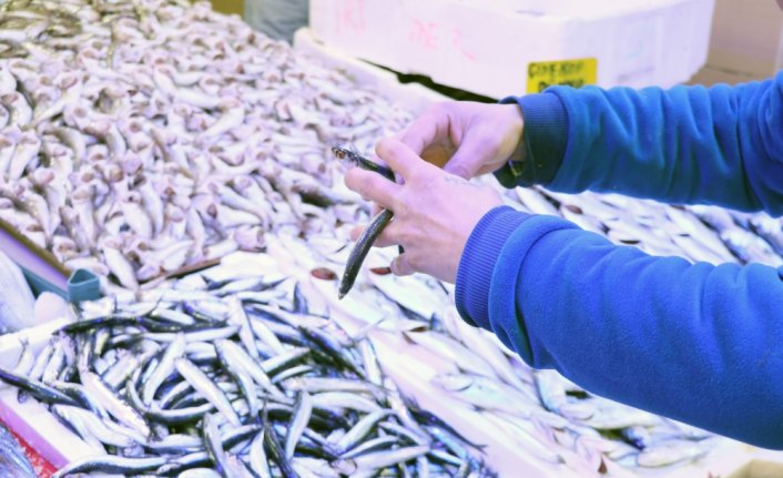 Hamsinin kilosu 30 liraya çıktı