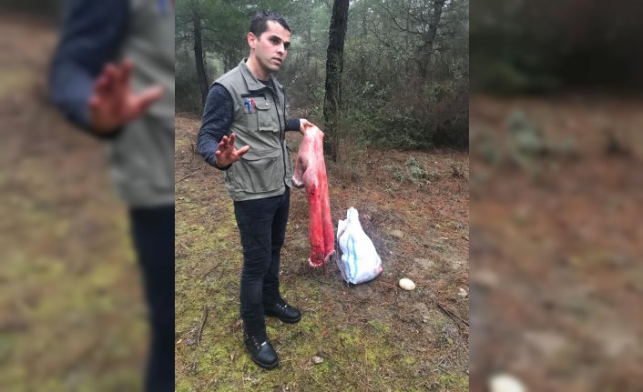 Kaçak karaca avcılığına 5 bin 292 lira para cezası