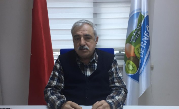 Kivi üreticileri ürünlerini kendileri pazarlayacak