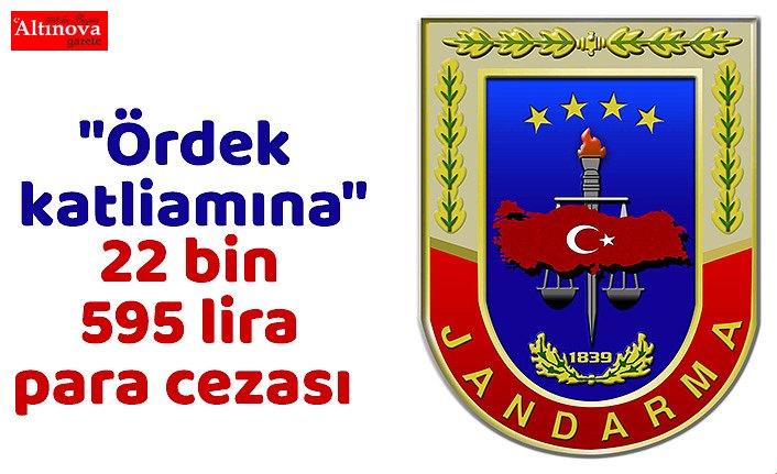 Kuş cennetindeki "ördek katliamı"