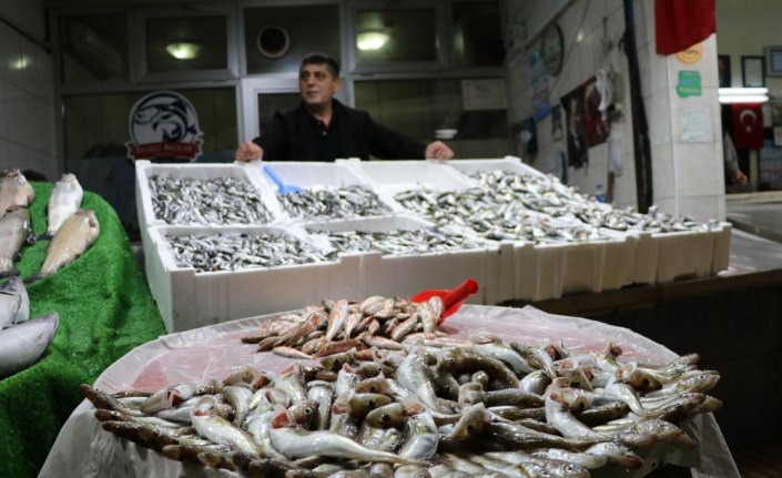 “Maalesef hamsi kısa sürdü“