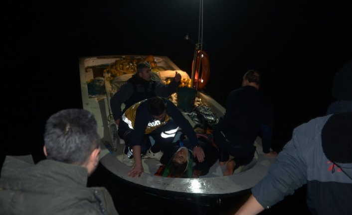 Sinop'ta kamyonet denize devrildi: 2 yaralı