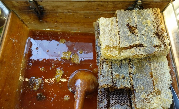 Türk balı 48 ülkede ağızları tatlandırdı