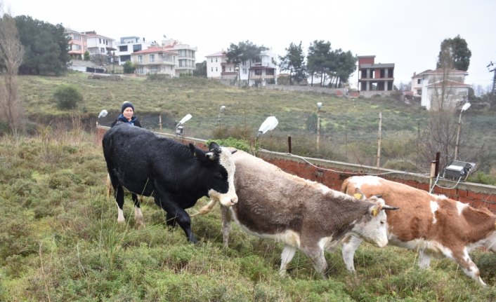 Uçurumdan yuvarlanan 