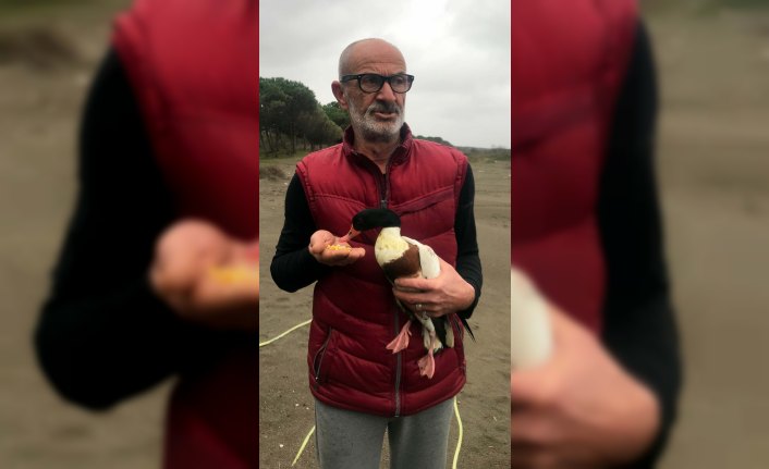 Yaralanan ördeğe balıkçı sahip çıktı